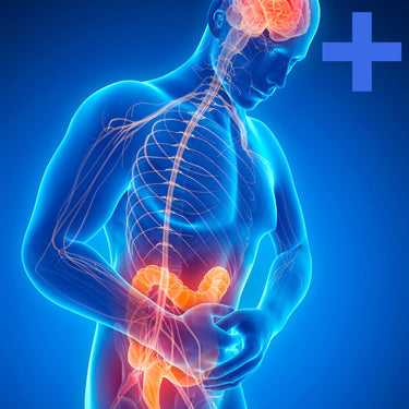 Digestive Health Panel + Parasitology +